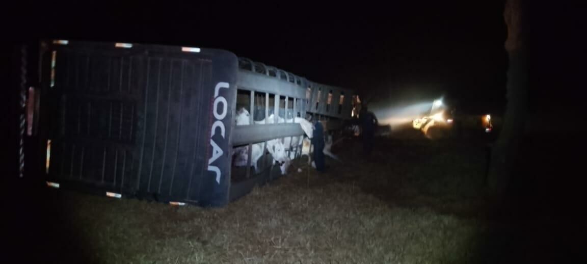 Imagem de compartilhamento para o artigo Carreta boiadeira tomba e fica completamente destruída na BR-060, em Paraíso das Águas da MS Todo dia